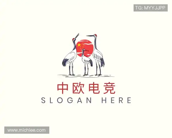 解读中欧电竞